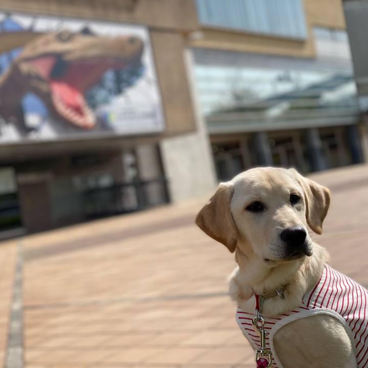 Aa37bbec 60be 41b8 b53f e1d79a9498bb 1618132159639