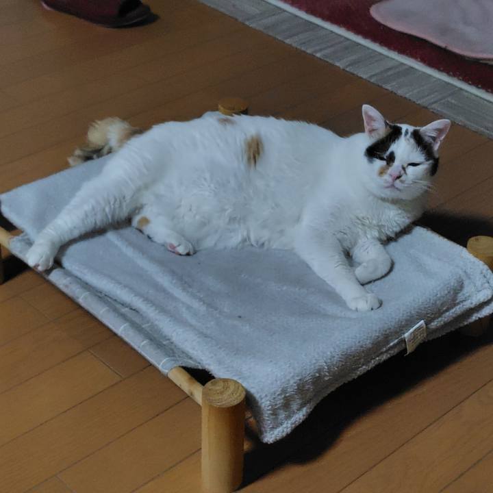 Aa37fc9d 4385 4d42 90aa 612470ae2289 1746340546687