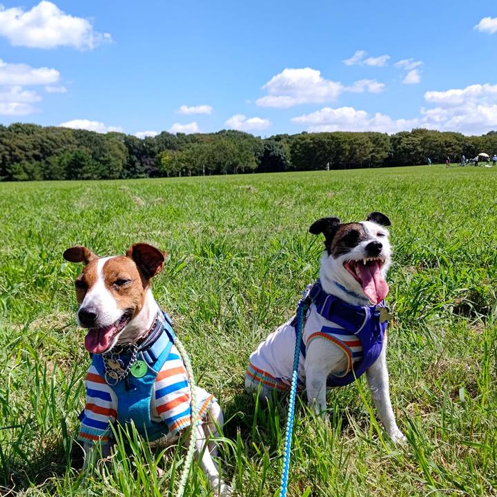 Aa381688 32a5 4807 8015 40522b10895f 1632113787737