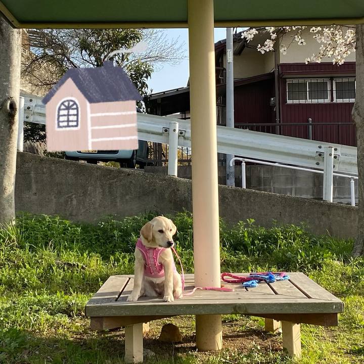 Aa38649d a1d9 49af b8b4 40307d2fdb12 1616068600333