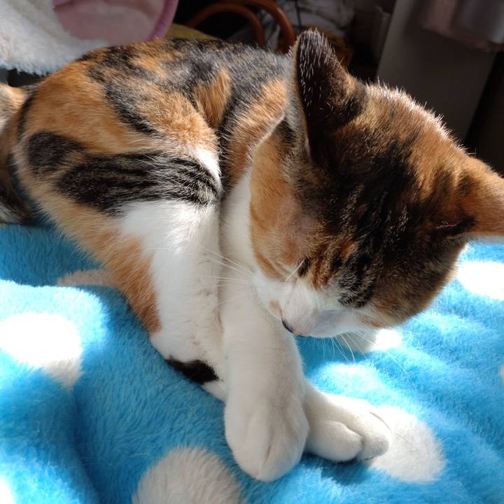 Aa38985a c083 4736 861f 481d27cc4c3c 1667736144892