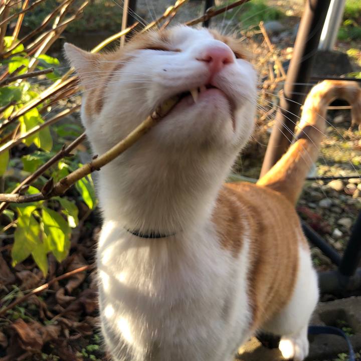 Aa38fb3c c03f 4111 be45 7aac1b21cfcd 1543307333614