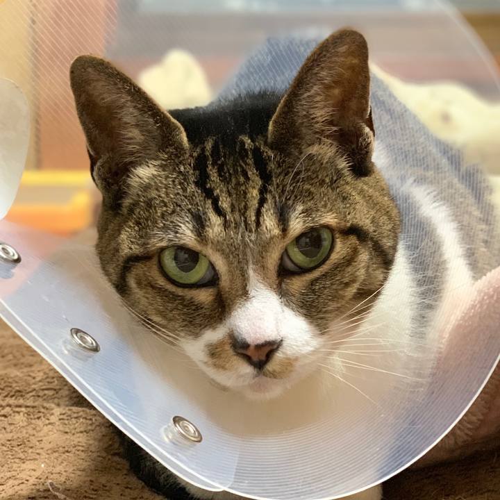 Aa394aff 8293 4de1 a032 fd6258e167eb 1554426005716