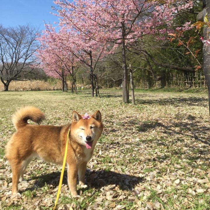 Aa39c141 faab 4752 9b29 8ff9c540f0b6 1552539277402