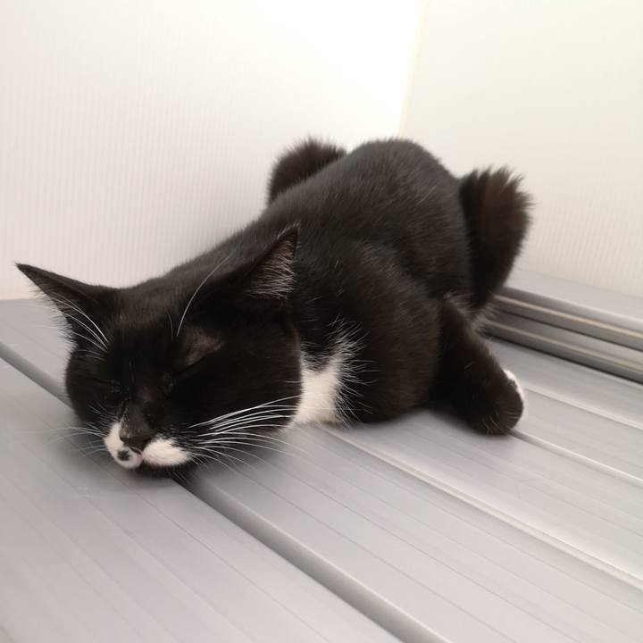 Aa39c6e7 dd7c 44e6 87a8 0dfc764b112e 1541603141444