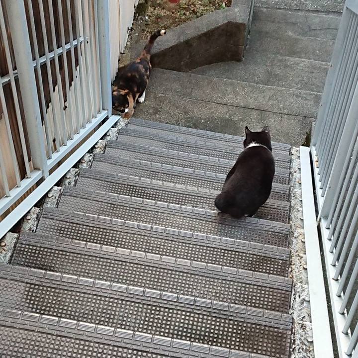 Aa39cd3a faa9 4003 813a 4921feb9791c 1664597520479