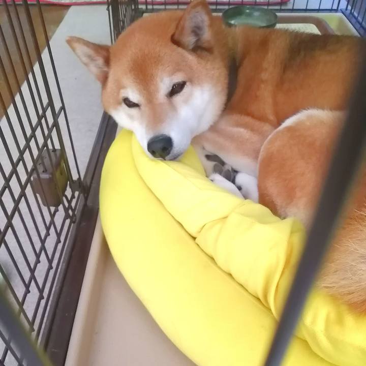 Aa39e335 c3ea 4155 bfd0 20989a01b3ad 1683684402355