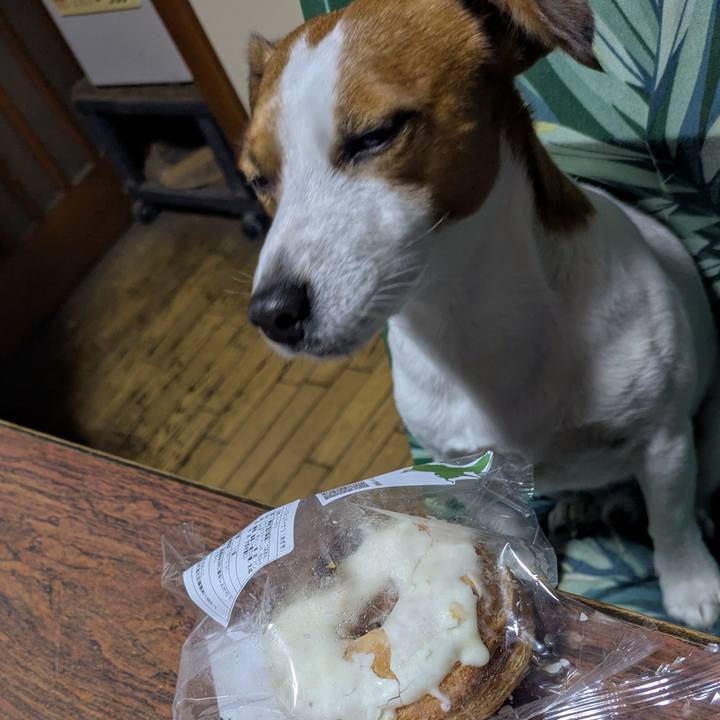 Aa39f2d2 84fc 4f9a 9eab 7e7298b4f8a2 1735604360817