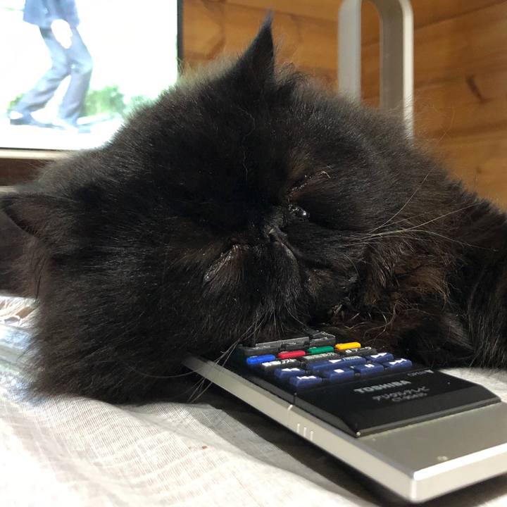 Aa39fa85 3b1d 424d 8e06 014d3af1d964 1529927400713