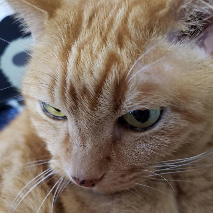 Aa3a4a45 446b 4cf5 b500 af8c8c10740b 1718850068406