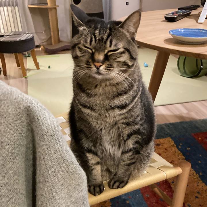 Aa3a5653 12dc 4fc8 bdf7 95b5a1744353 1645098871197