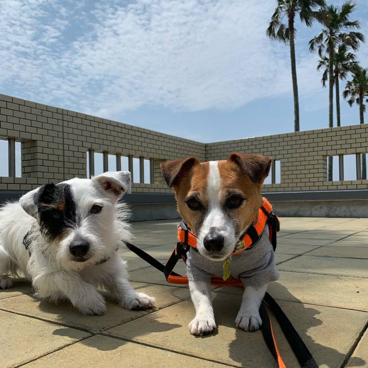 Aa3a7100 db68 4e46 ba05 20c350172091 1556933727932