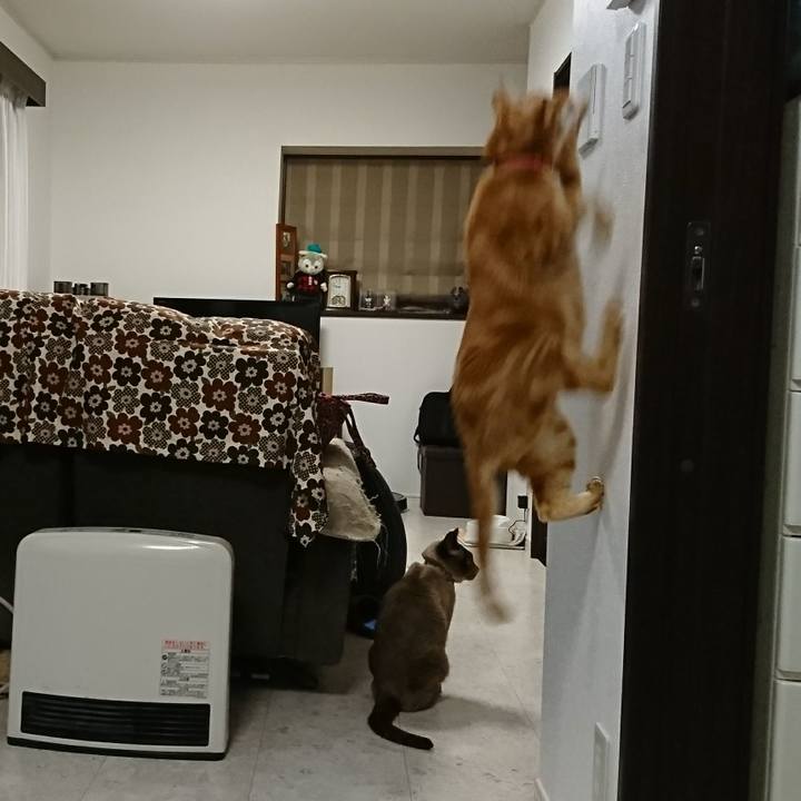 Aa3a9165 753d 400c 8070 117f0eafa651 1516976520566