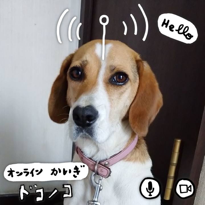 Aa3a9b8c b02e 4c48 8428 d116415bb6a9 1594165087644