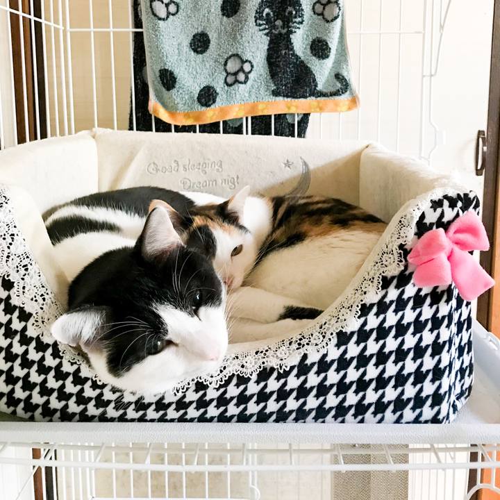 Aa3aaeb2 90f5 45f1 9eca e1b114ae8b67 1517748211151