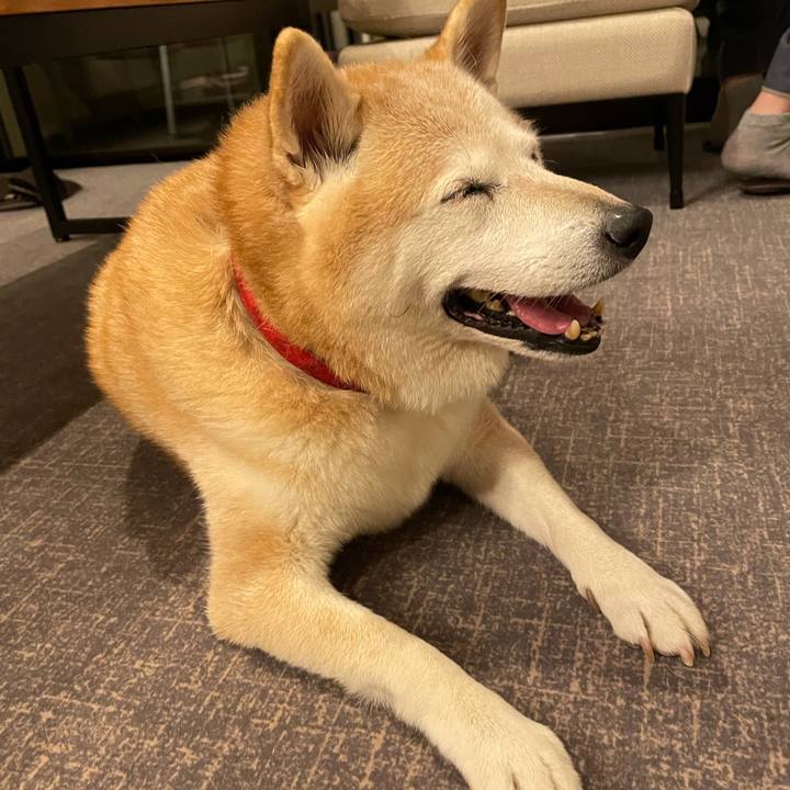 Aa3ad053 b9c7 4480 be0e bc8be035b5f1 1635768537620