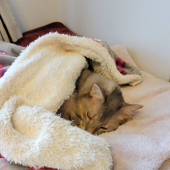 Aa3ad5d5 d7b7 45d7 8a9e a0f08b0cf475 1638781194972