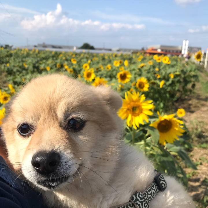 Aa3aee69 cc1e 4730 aa97 501495e0a66d 1573643934226