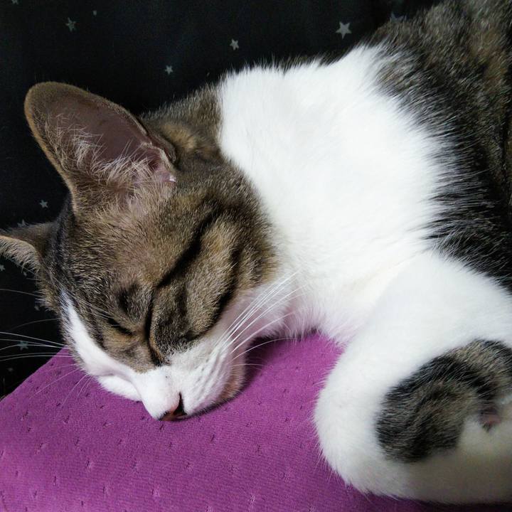 Aa3afd43 8fb5 4c0a a035 67a30af99091 1649501491156