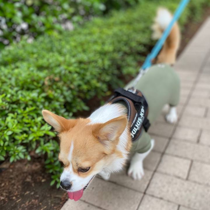 Aa3b0149 70a3 4c7b 8999 f98d7392a103 1588573315935