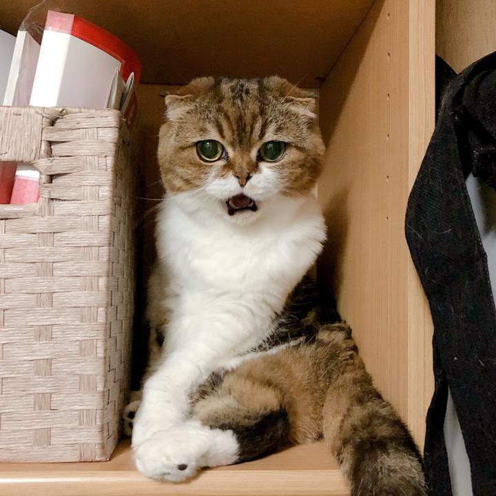 Aa3b0cca 3668 4764 8b45 3abc6c1ca3c3 1562406240878