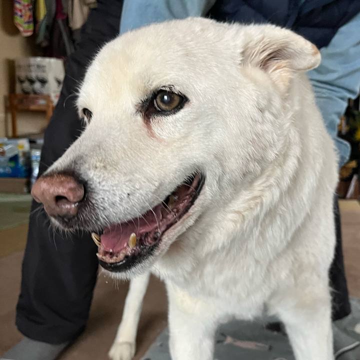 Aa3b1428 26af 4c0d bb41 d61ed591e8a6 1767246753276