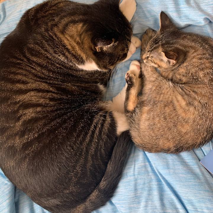 Aa3b2d3a 0e10 43e2 b0b0 ab2e7c37e64c 1593062695765