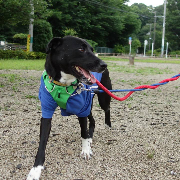 Aa3b31fc c3e1 4288 8dbb 9b8ac481d609 1592781914404