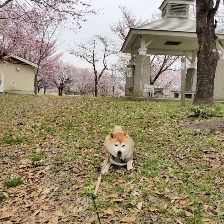 Aa3b4210 a70d 4324 9a78 dbe7c9e43365 1650249873247