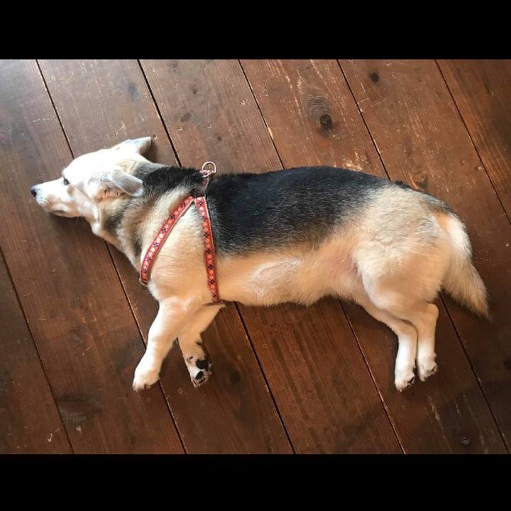 Aa3b6512 9b3b 4e77 981e bcfd3e7e4bb8 1548207596381