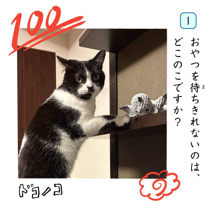 Aa3b7e40 eb5a 43d8 99c9 24b5c61f52f1 1744288972147