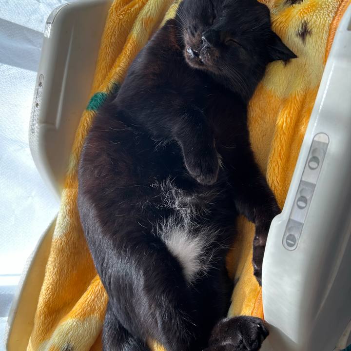 Aa3b8b6a e309 4495 9cde 705bf6160187 1736391765403