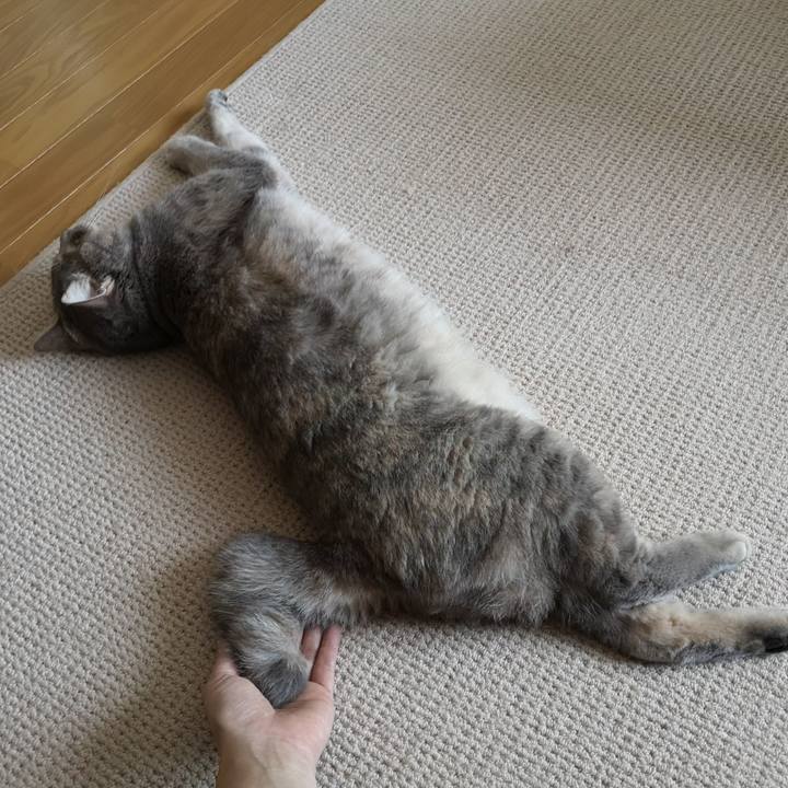 Aa3b8ee6 de1c 47e1 8b37 64bc7b816adf 1566528215063