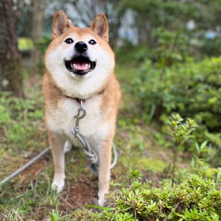 Aa3bb7c9 6e9c 4967 8ee6 e9871440cc7d 1631574042799