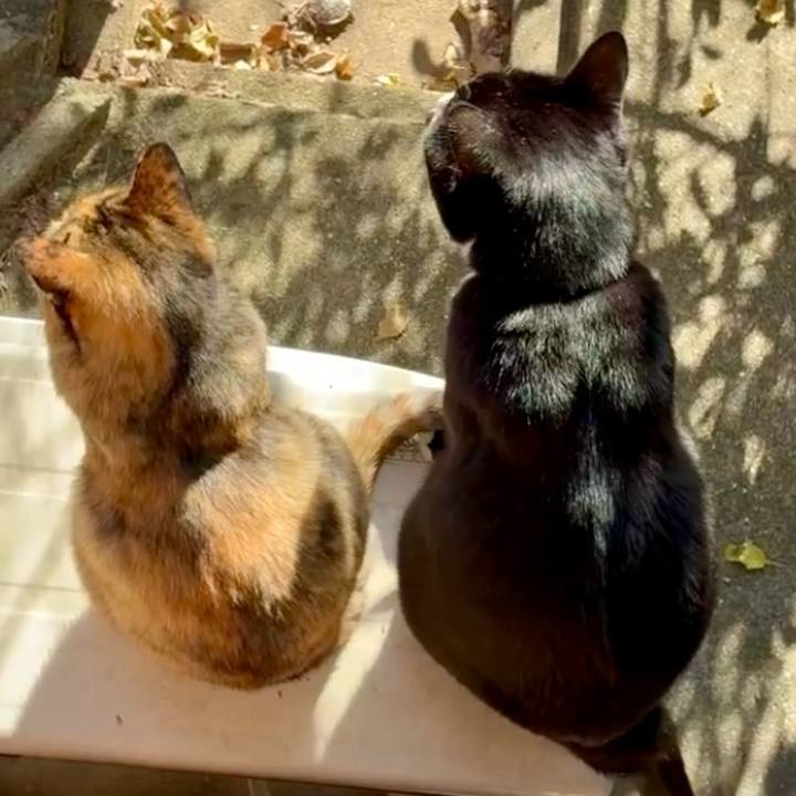 Aa3bc886 19fd 43c4 90fb 41094f13ed55 1763258963475