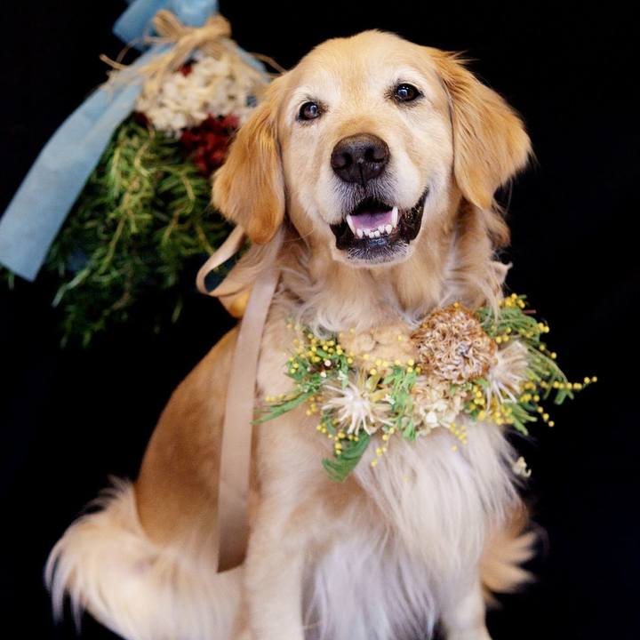 Aa3bd612 c674 4d0f 95a3 4b9703f5b44e 1709541417932