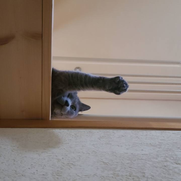 Aa3c09a3 2e46 434f bf9a 351cfb0d2758 1625041595090