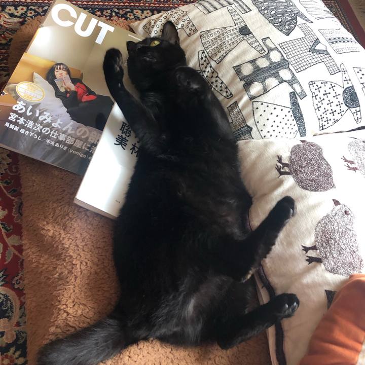 Aa3c1d5a 763e 467d 83d4 41bb0557c570 1554079957455