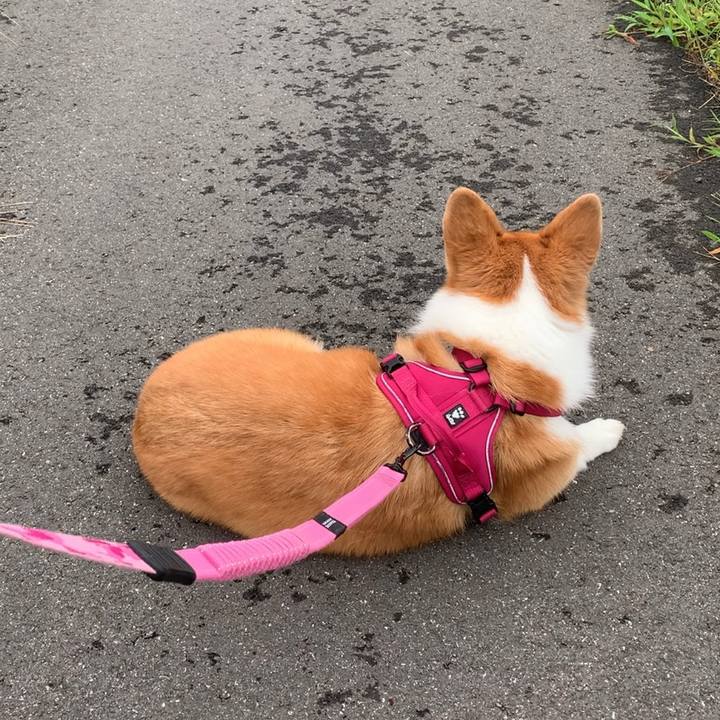 Aa3c1e94 c40b 49a6 9da6 3eb03e08d5a2 1630757606379