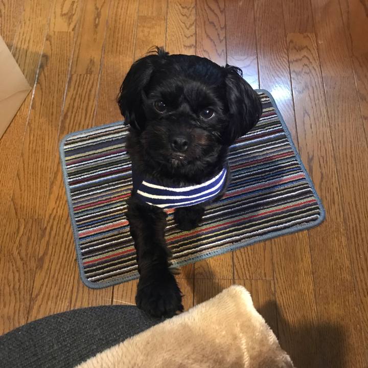 Aa3c3364 ffc5 43bf b970 7e20dee15d16 1545439264859