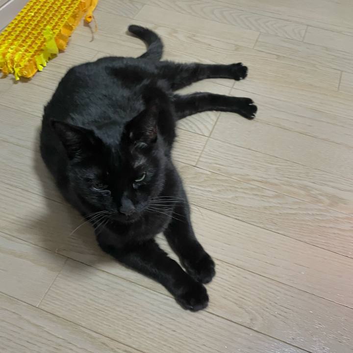 Aa3c44c6 fd53 4ce0 964e c1c80a8e2453 1740748314340