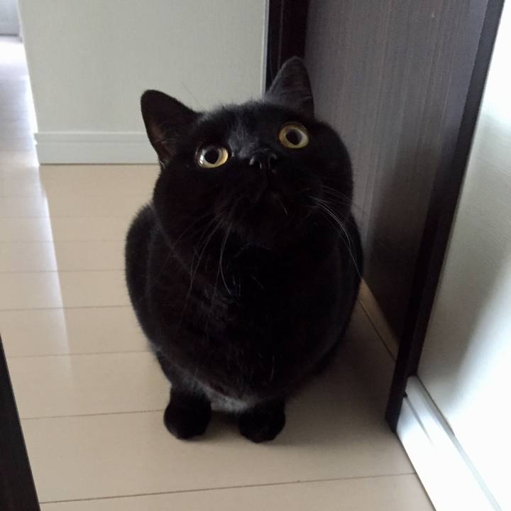 Aa3c4845 8d88 45f8 93b3 73fb1151b0c9 1548373560314