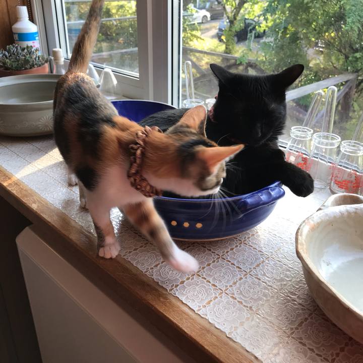 Aa3c5068 5946 4777 98f9 5d21bad64734 1601676716798