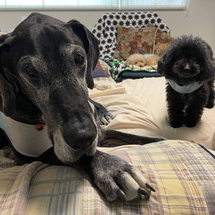 Aa3c5ad0 d0f5 4326 8a3e 728da5b02141 1650926686512