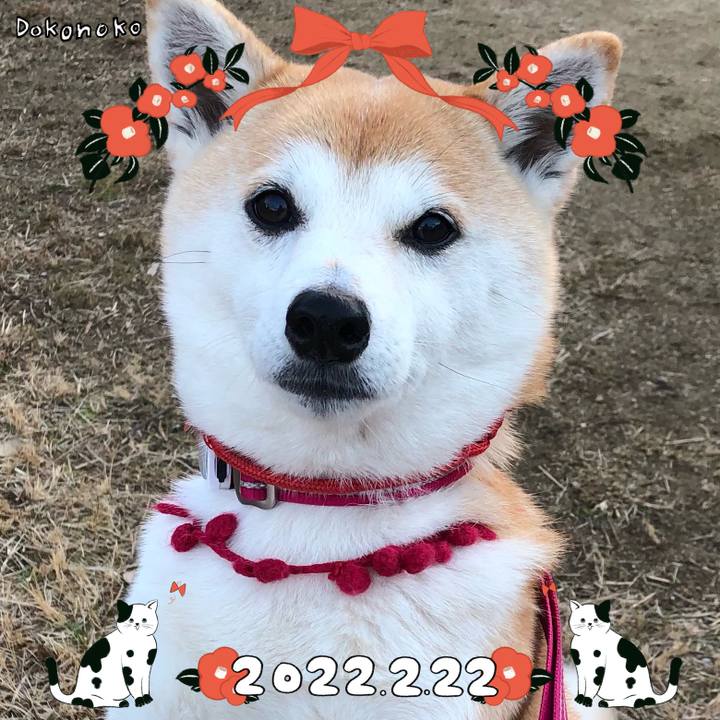 Aa3c5bb0 f2f2 496a 9b5c b76c533b7c9a 1645501806772