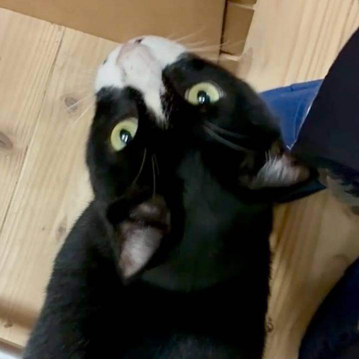 Aa3ca25e 75af 4c2c a280 4e8adcc90c67 1761393946900