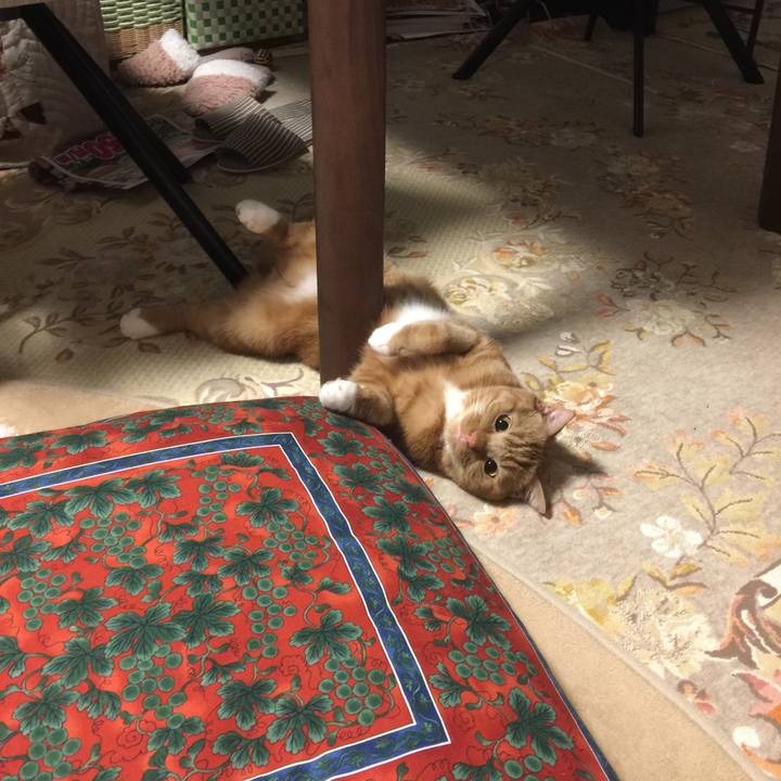 Aa3ca4a7 7c3c 4fde afee 96fd87c8b060 1526142442265