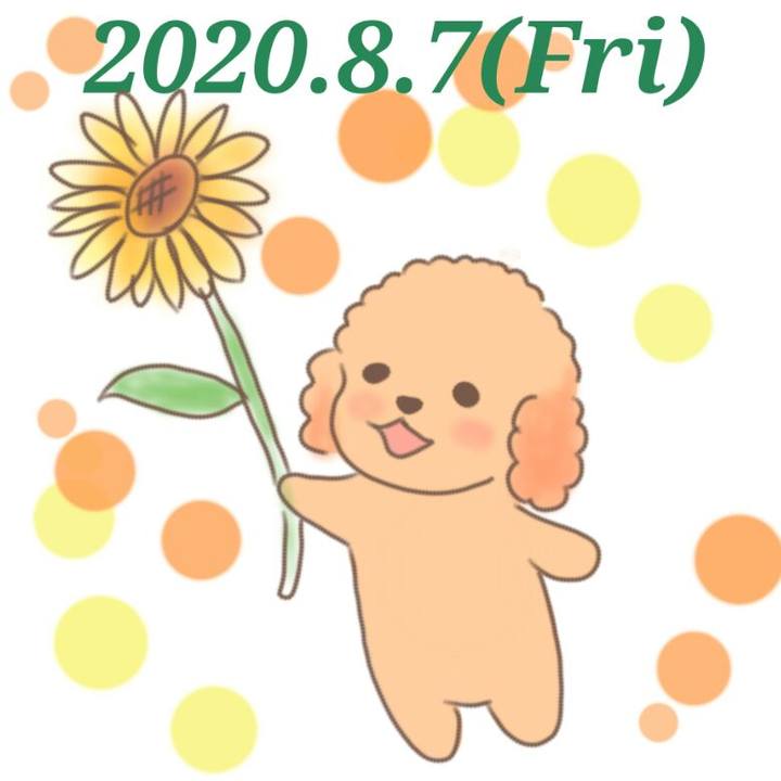 Aa3ca7d2 294b 4b08 ba33 17c9ad60e98d 1596811051716