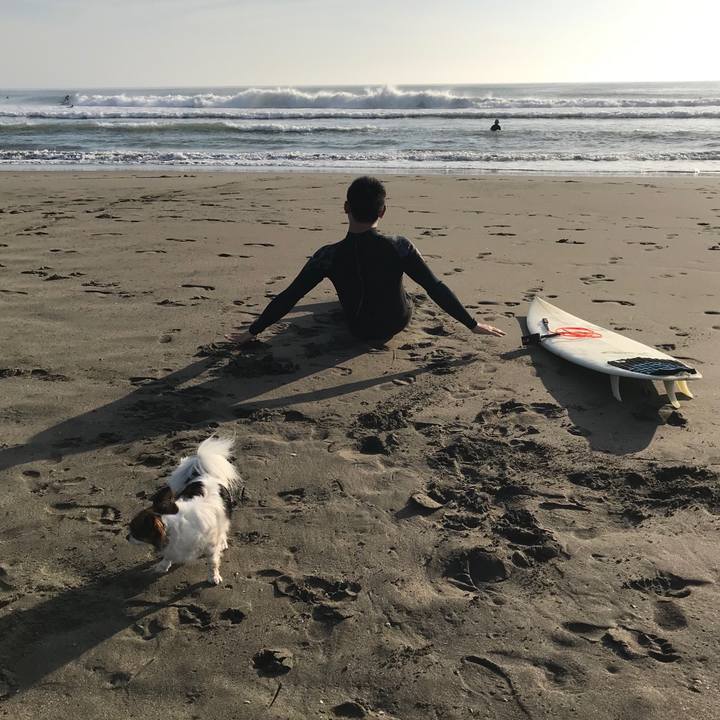 Aa3cb804 d536 4738 8bd6 1fb4312e3709 1556836608366