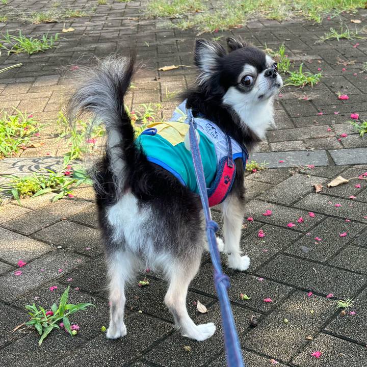 Aa3cdad8 b042 4279 8109 dda9864f3c82 1722181488077